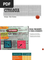 Aula Citologia