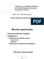 Teorico (P14) Micosis Oportunistas I PDF