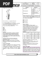 Reino Plantae - Fotossíntese