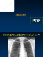 Mediastin LP 4