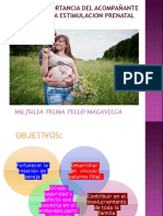 Importancia Del Acompañante en La Estimulación Pre Natal