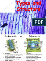 4. Cells 2.ppsx