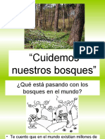 Semana Forestal Nacional 12021615729356 4