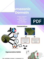 Dominio Amazónico 