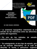 Anatomía cervical canina