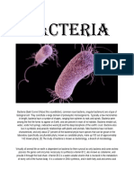 Bacteria