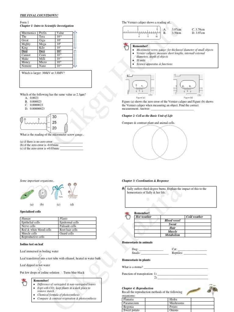 Science Revision F1-F2 | PDF | Digestion | Atmosphere Of Earth