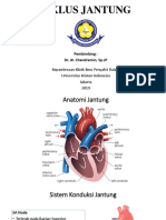 Siklus Jantung - Slytherin