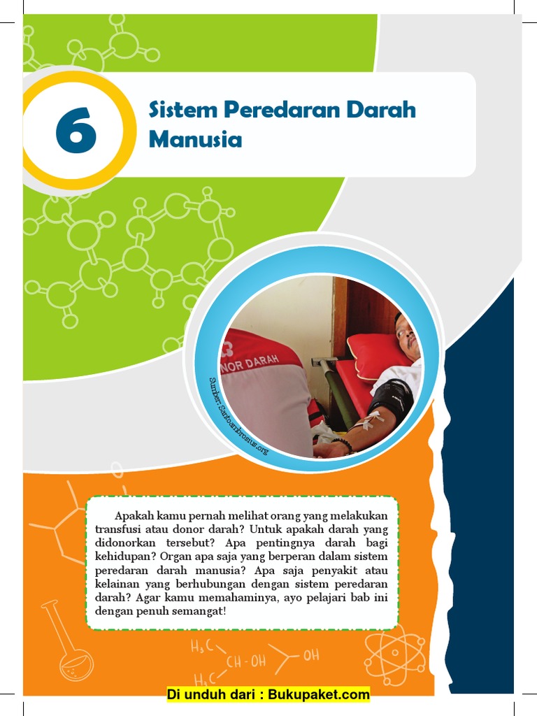 Bab 6 Sistem Peredaran Darah Manusia Pdf