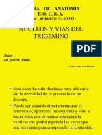 trigem.ppt