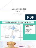 anatomi fisiologi persyarafan.pdf