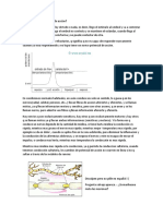 Clase 7 3ra Parte