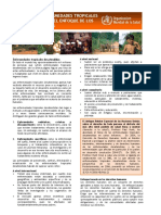 Human Rights Approach To NTD Spa PDF