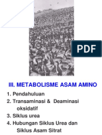 Metabolisme Asam Amino