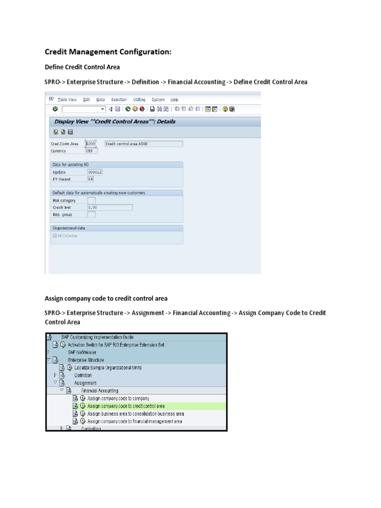 Credit Management Configuration | PDF | Credit | Finance & Money Management