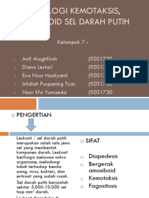 Komponen darah yang berfungsi melawan bakteri patogen adalah