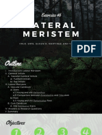 Lateral Meristem Functions