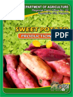 Sweet Potato Production Guide: Tips for High Yields