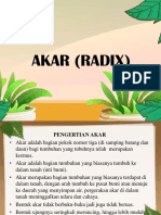 Akar (Radix)