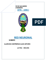 Red Neuronal 1036