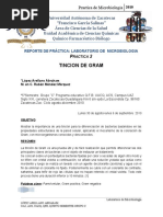 Download Tincion de gram-Introduccion desarrollo e interpretacion de resultados Practica 2 by abi SN43696269 doc pdf