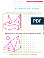 12 Trazos de Simetría - Avanzado PDF