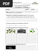 Guía Microorganismos y Enfermedades 5basico