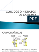 Glúcidos PDF