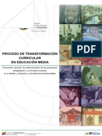 Nvo - Doc. Cambio Curricular 28-08 PDF