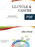 CELL CYCLE Cancer 1