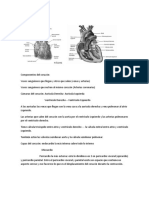 alteraciones cardiacas