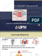 Lecture 11 - circulation .UPH.BB 2019.ppt