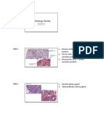 GI Histology Review - Key PDF