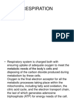 RESPIRATION (2).ppt