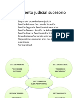 13 Procedimiento Judicial Sucesorio