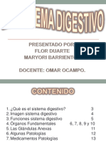 Sistema digestivo: órganos, funciones y principales patologías