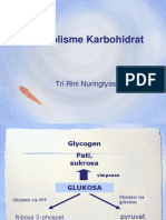 Metabolisme KH (Ok)