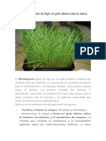 Wheatgrass. Pasto de Trigo..doc