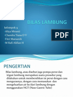 Bilas Lambung