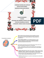 Etapas Del Desarrollo Humano Maesrtria Enviar