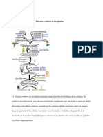 Historia Evolutiva de Las Plantas