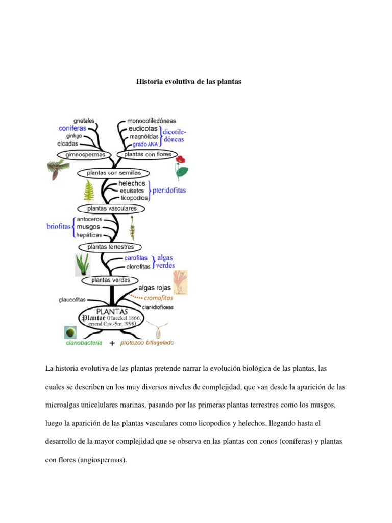 Evolución y origen de las plantas | PDF | Algas | Plantas