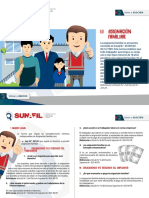 1.1 PF DS asignacion laboral.pdf