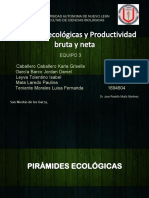 Piramides Ecologicas-Productividad Bruta y Neta