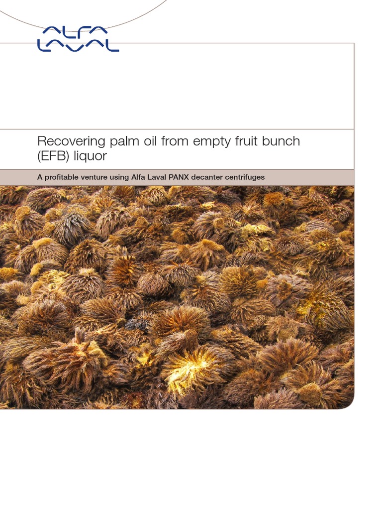 Recovering Palm Oil From Empty Fruit Bunch Liquor PDF | PDF | Palm Oil ...