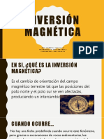 Inversión Magnética