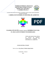 Tesina1 Aprobado PDF