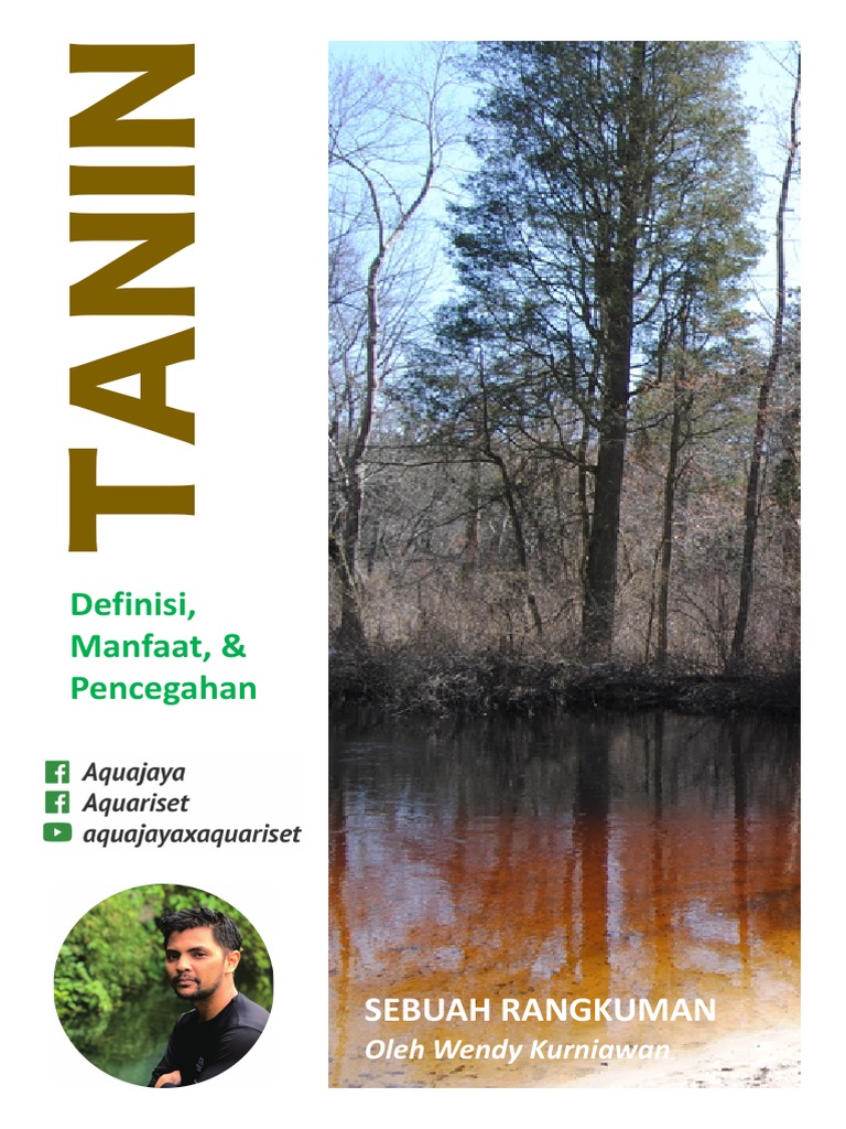 TANIN Definisi, Manfaat, Dan Pencegahan | PDF