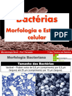 AAula 02 - Biologia de Bactérias - Morfologia e Estrutura Celular Bacteriana