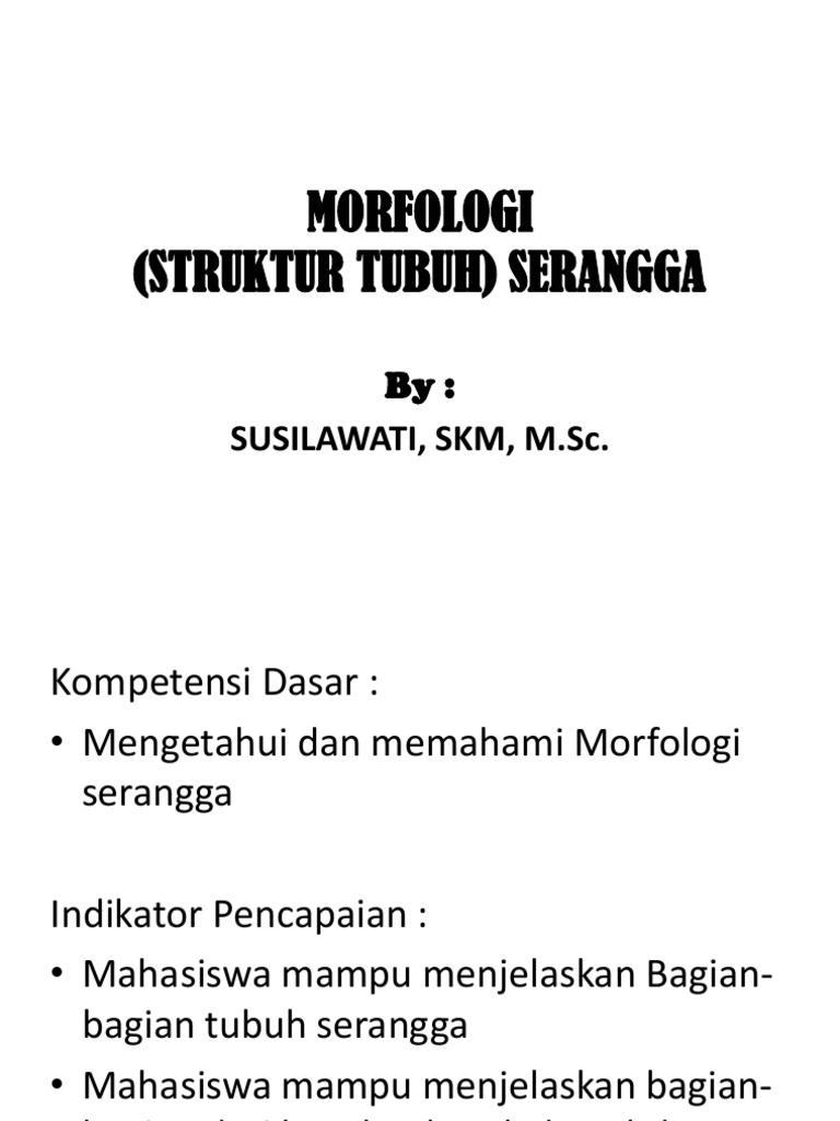 MORFOLOGI Serangga | PDF